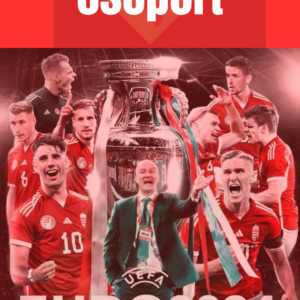 euro 2024 vip